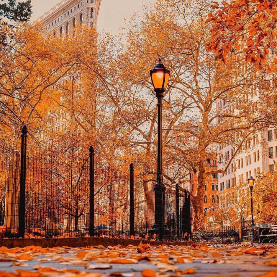 FALL
