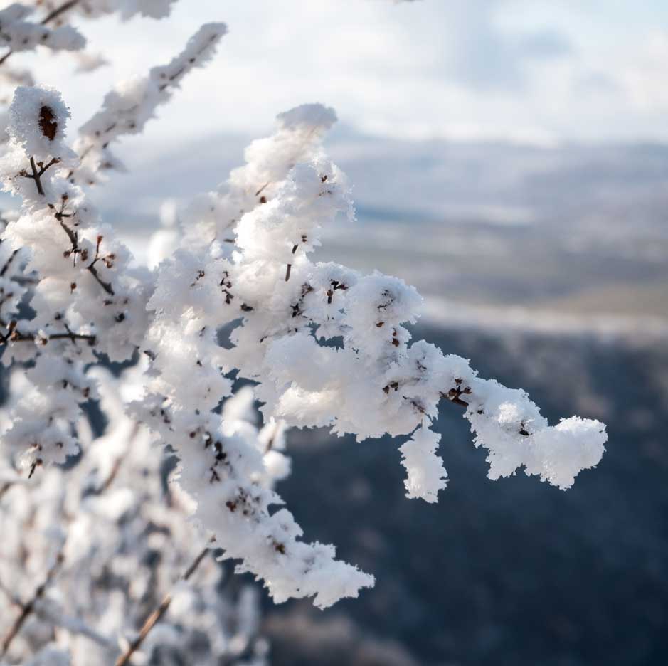 WINTER